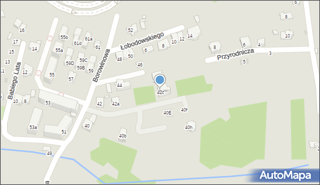 Kraków, Borowinowa, 42c, mapa Krakowa