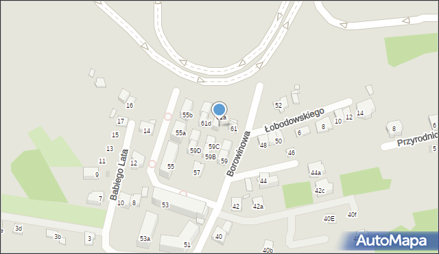 Kraków, Borowinowa, 61b, mapa Krakowa