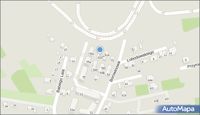 Kraków, Borowinowa, 61d, mapa Krakowa