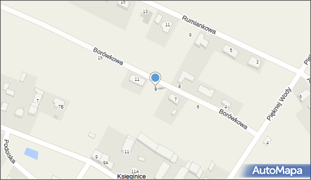 Księginice, Borówkowa, 9, mapa Księginice