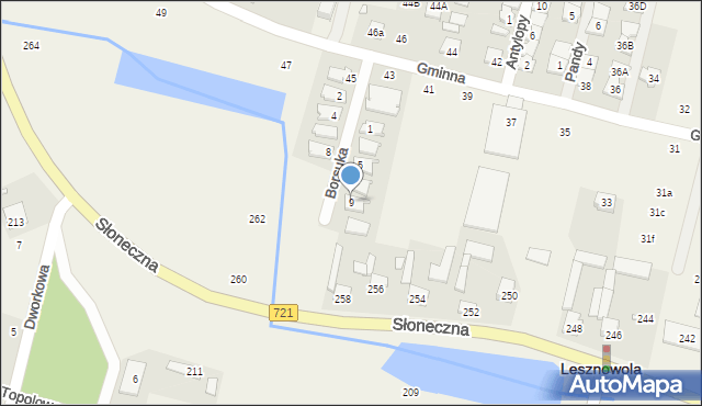 Lesznowola, Borsuka, 9, mapa Lesznowola