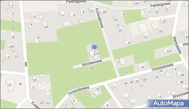 Międzyborów, Borówkowa, 4, mapa Międzyborów