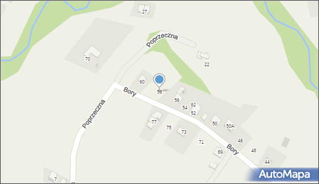 Pietrzykowice, Bory, 58, mapa Pietrzykowice