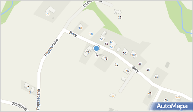 Pietrzykowice, Bory, 75, mapa Pietrzykowice