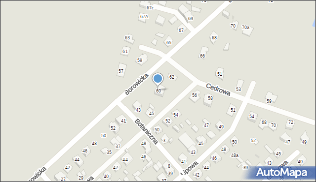 Płock, Borowicka, 60, mapa Płock