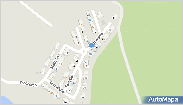 Ruda Śląska, Borowików, 40, mapa Rudy Śląskiej
