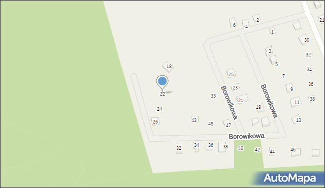 Sasino, Borowikowa, 22, mapa Sasino