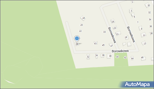 Sasino, Borowikowa, 26, mapa Sasino