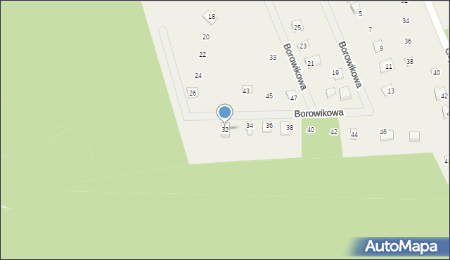 Sasino, Borowikowa, 32, mapa Sasino