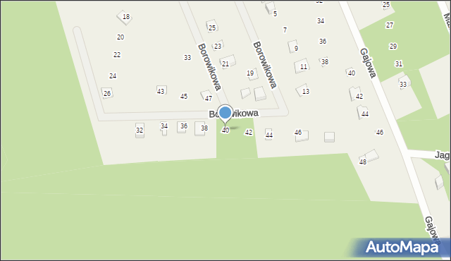 Sasino, Borowikowa, 40, mapa Sasino