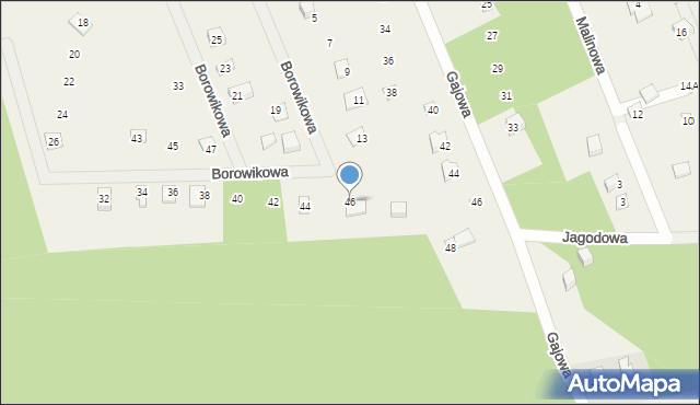 Sasino, Borowikowa, 46, mapa Sasino