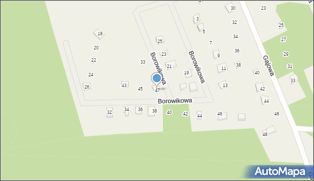 Sasino, Borowikowa, 47, mapa Sasino