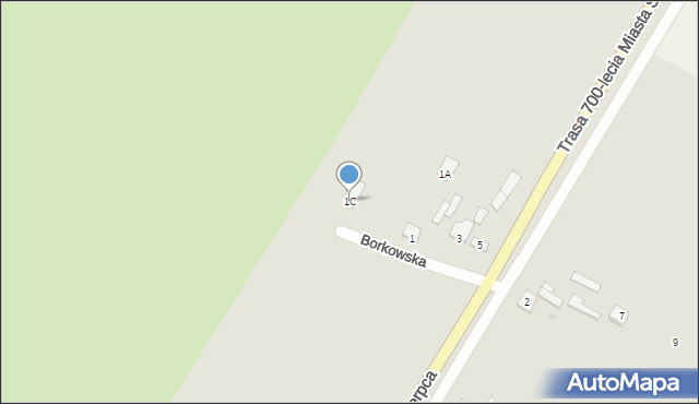 Sierpc, Borkowska, 1C, mapa Sierpc