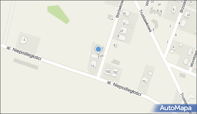 Żórawina, Borówkowa, 1, mapa Żórawina