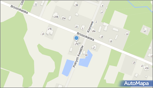 Adamów-Wieś, Brzozokalska, 17b, mapa Adamów-Wieś