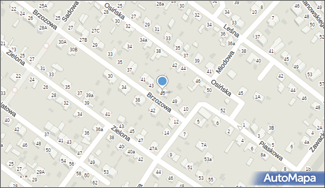 Aleksandrów Kujawski, Brzozowa, 45, mapa Aleksandrów Kujawski