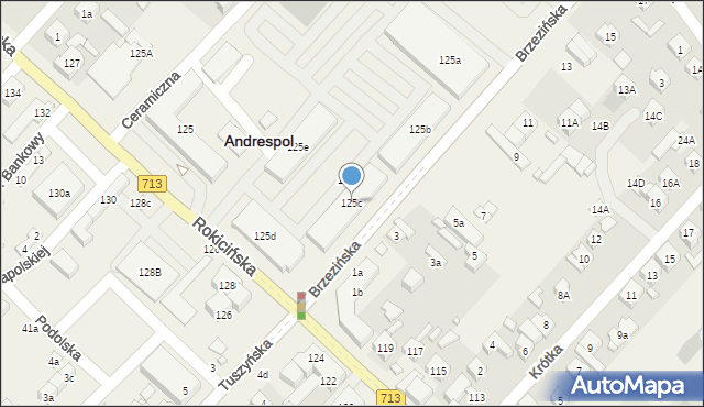 Andrespol, Brzezińska, 125c, mapa Andrespol