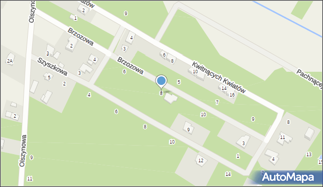 Baszkówka, Brzozowa, 8, mapa Baszkówka