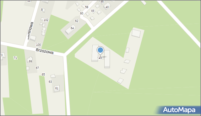 Borków, Brzozowa, 43, mapa Borków