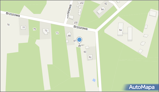 Borków, Brzozowa, 65, mapa Borków