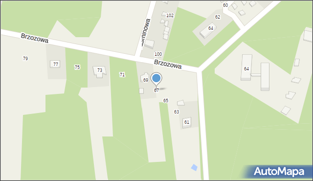 Borków, Brzozowa, 67, mapa Borków