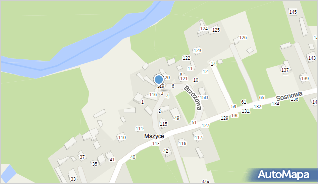 Borowa, Brzozowa, 118, mapa Borowa