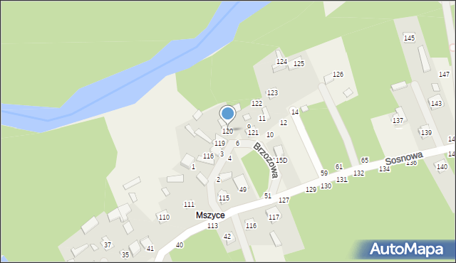 Borowa, Brzozowa, 120, mapa Borowa