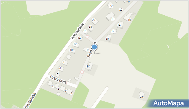 Boruszowice, Brzozowa, 8d, mapa Boruszowice