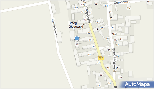 Brzeg Głogowski, Brzeg Głogowski, 37, mapa Brzeg Głogowski