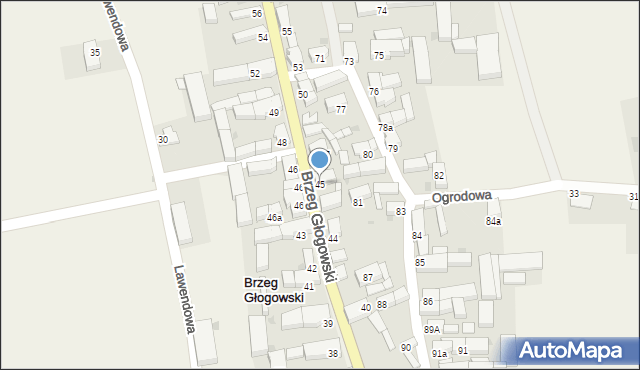 Brzeg Głogowski, Brzeg Głogowski, 45, mapa Brzeg Głogowski