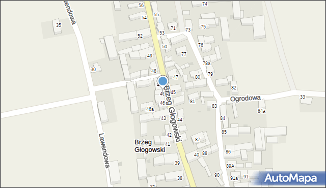 Brzeg Głogowski, Brzeg Głogowski, 46b, mapa Brzeg Głogowski