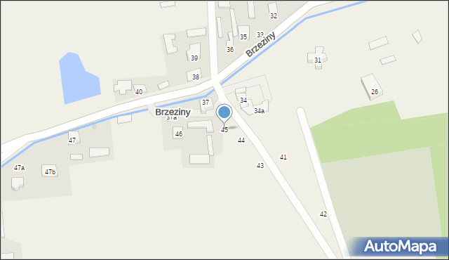 Brzeziny, Brzeziny, 45, mapa Brzeziny
