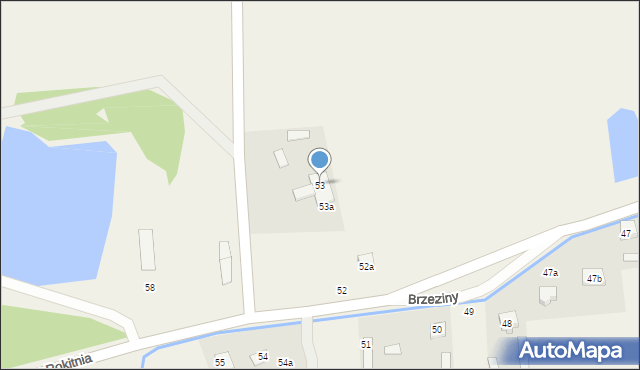 Brzeziny, Brzeziny, 53, mapa Brzeziny