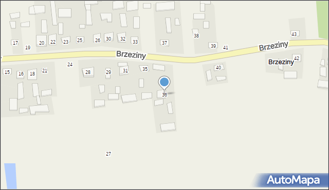 Brzeziny, Brzeziny, 36, mapa Brzeziny