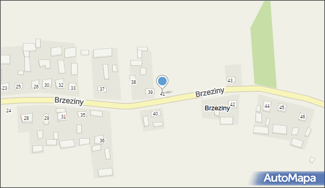 Brzeziny, Brzeziny, 41, mapa Brzeziny