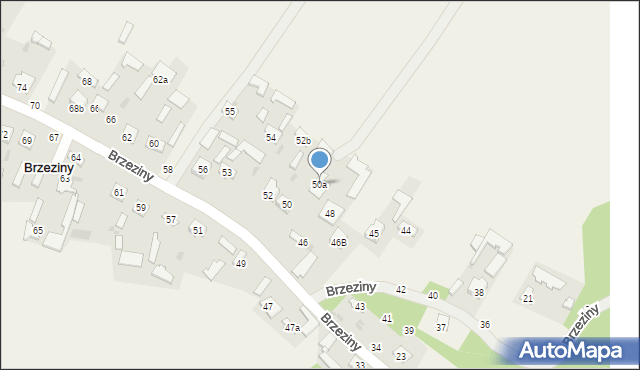 Brzeziny, Brzeziny, 50a, mapa Brzeziny