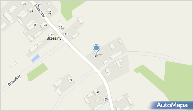 Brzeziny, Brzeziny, 30, mapa Brzeziny