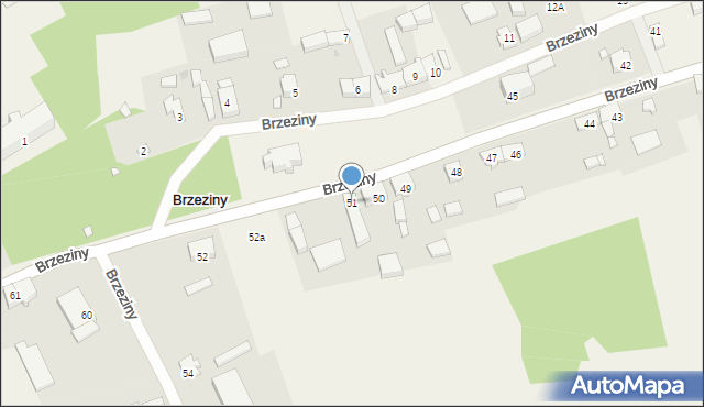 Brzeziny, Brzeziny, 51, mapa Brzeziny