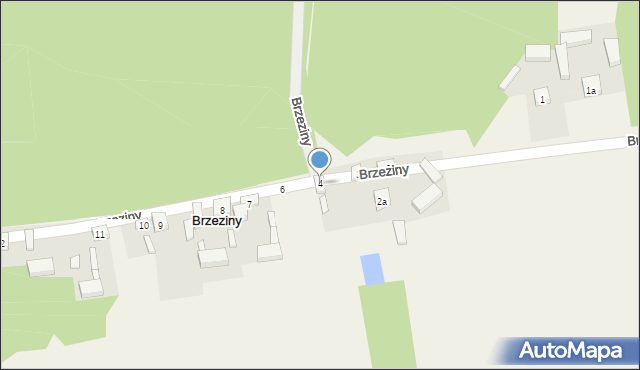 Brzeziny, Brzeziny, 4, mapa Brzeziny