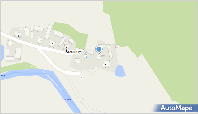 Brzeziny, Brzeziny, 1, mapa Brzeziny