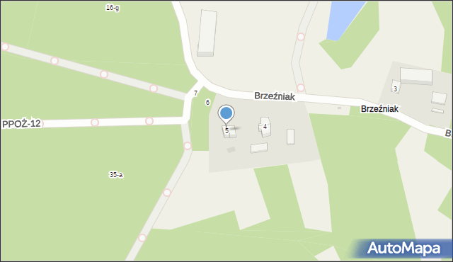 Brzeźniak, Brzeźniak, 5, mapa Brzeźniak