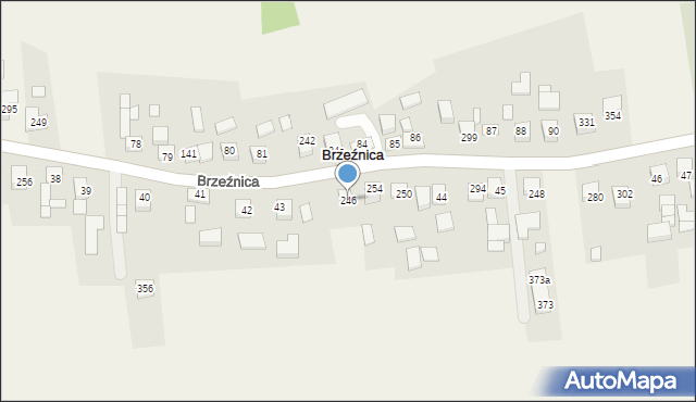 Brzeźnica, Brzeźnica, 246, mapa Brzeźnica