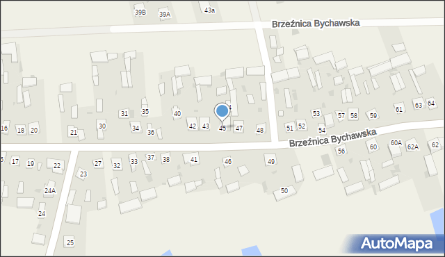 Brzeźnica Bychawska, Brzeźnica Bychawska, 45, mapa Brzeźnica Bychawska