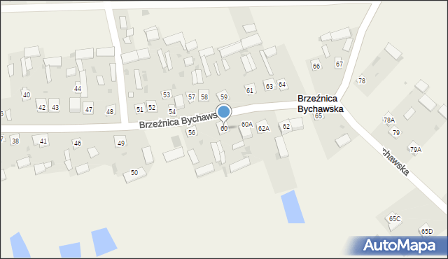 Brzeźnica Bychawska, Brzeźnica Bychawska, 60, mapa Brzeźnica Bychawska