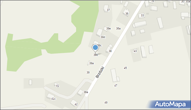 Brzózki, Brzózki, 39b, mapa Brzózki