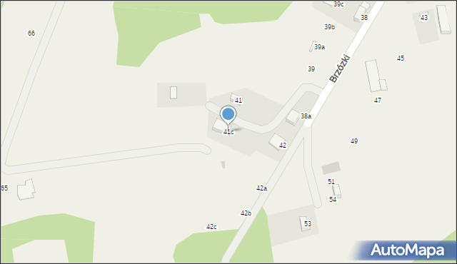 Brzózki, Brzózki, 41c, mapa Brzózki
