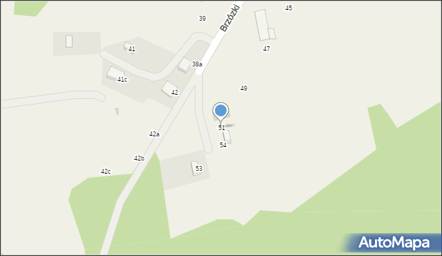 Brzózki, Brzózki, 51, mapa Brzózki