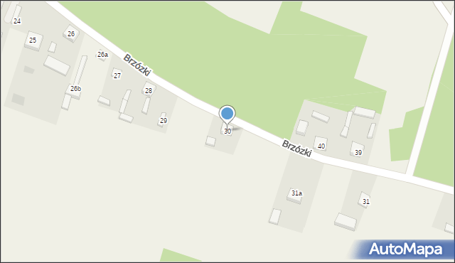 Brzózki, Brzózki, 30, mapa Brzózki