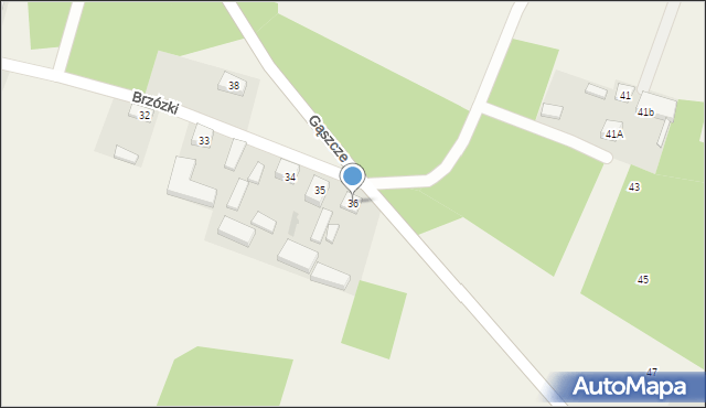 Brzózki, Brzózki, 36, mapa Brzózki
