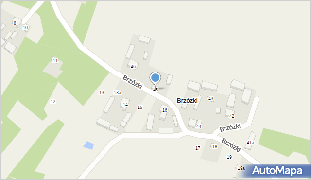 Brzózki, Brzózki, 45, mapa Brzózki